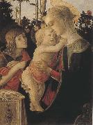 Sandro Botticelli Madonna of the Rose Garden or Madonna and Child with St John the Baptist Germany oil painting artist